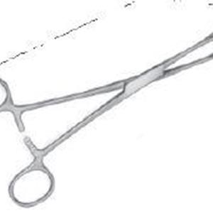 HOHLKORPEL Intestinal Forceps